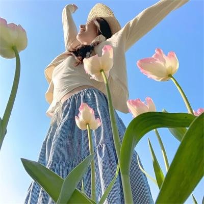 大象家族