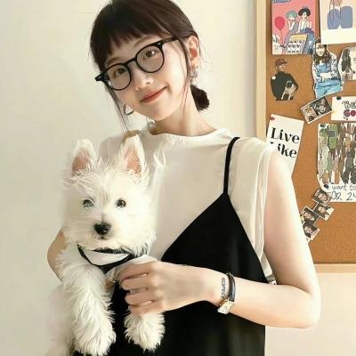 罗伯特·布鲁斯
